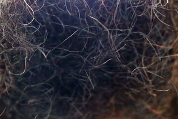 Closeup dark hair from a beard - messy texture of facial black, brown and red rough hairs