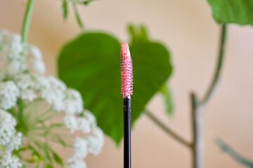 ピンクのマスカラ