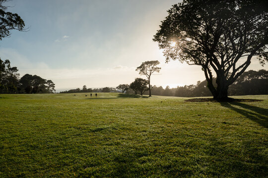 Image of silhouette people walking and dogs running on the North Shore golf course at sunrise