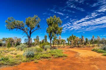 Bright red landscape of Central Australia