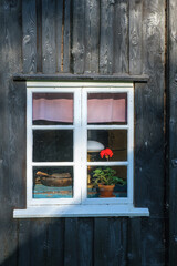 Old cottage window with a geranium flower