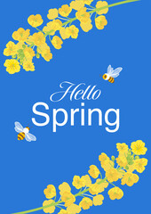 Canola flowers and honeybee background - Included the word "Hello Spring"