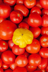 Red tomatoes background. Group of tomatoes