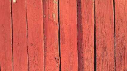 Fototapeta premium wood texture