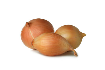 Fresh ripe onion isolated on white background