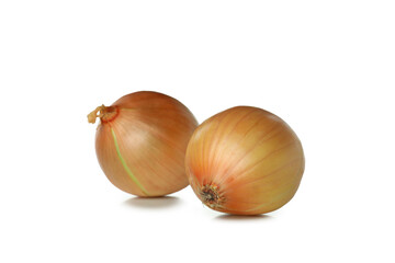 Fresh ripe onion isolated on white background