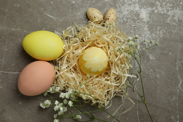 Easter eggs and gypsophila flowers on gray textured background