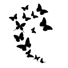 Flock of silhouette black butterflies on white background