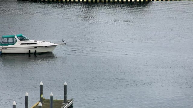 Motorboat cruising on Tacoma Thea Foss Waterway during cloudy day. Static wide shot.