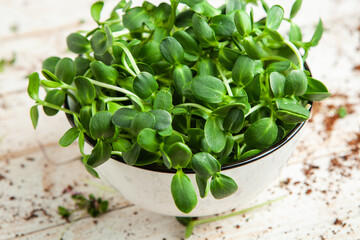 Growing sprouted seeds, microgreens. Healthy lifestyle. Green sprouts in a block of soil.