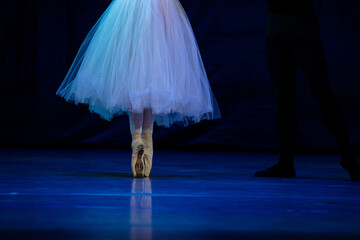 Obraz premium Ballerina legs closeup