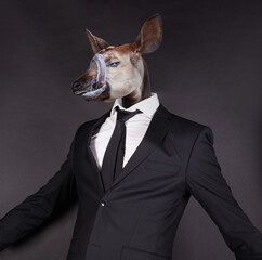Okapi head in a black suit