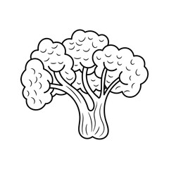 Broccoli vector illustration, simple hand drawn vegetable Line Icon 