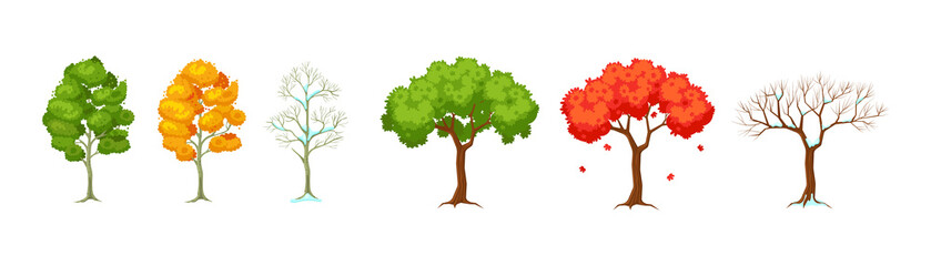 Cartoon tree at different times of year. Seasonal tree with and without leaves for game scenes. Planting trees for garden forest park. Three seasons summer, autumn, winter cartoon isolated vector