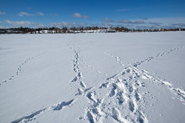 Foot prints in the snow on the lake Saimaa, Lappeenranta Finland