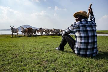 Africa American man feed and care the subsistence of cows in local farm near river and using a wood for control livestock. A farmer is a profession that requires patience and diligence
