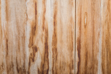 Fototapeta premium Abstract old brown wood texture backgrund, nature wooden wall pattern background