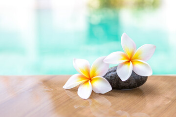 Fototapeta na wymiar Closeup beautiful plumeria flower with stone over blurred pool background, nature concept background, spring and summer season, spa and wellness concept