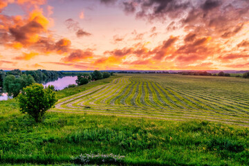 Twilight at cultivated land in the countryside on a summer evening with cloudy sky background....