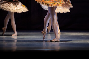 Closeup of ballerinas legs © Ruslan