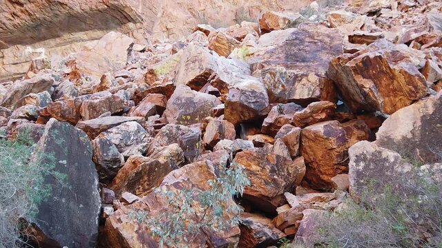 SLOW MOTION: Australian outback wildlife. Black-footed rock wallaby jumping along the walking track into Simpsons Gap, West MacDonnell Ranges National Park, Northern Territory, Australia.