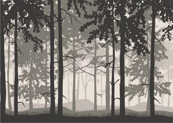 Fototapete Forest background, silhouettes of trees. Magical misty landscape. Illustration.  © Anna