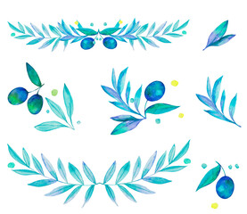 Fototapeta na wymiar Watercolor black olive leaf illustration. Blue summer organic set. Nature tree isolated on white. Branch design food fresh floral vegetarian vegetable.