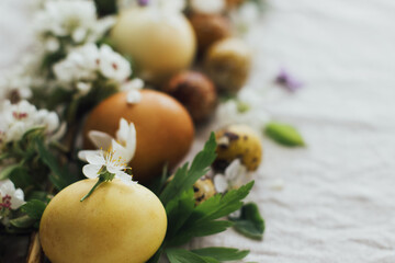 Fototapeta na wymiar Easter eggs with spring flowers and tender petals on rustic linen. Aesthetic eco natural holiday