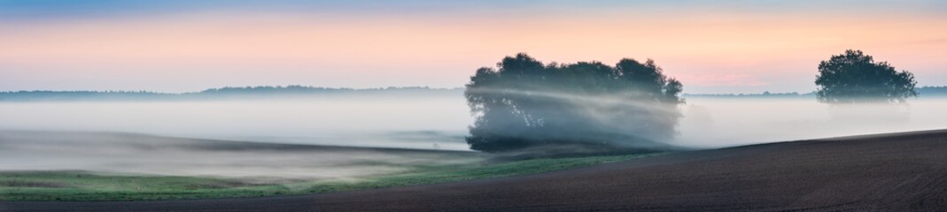 Panorama of foggy fields at sunrise