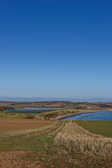 The curving coastline of Lunan Bay seen from the arable Farm Fields on top of the Cliffs towards Arbroath, on a bright day in March.