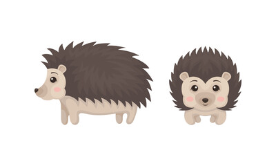 Cute Hedgehog in Various Poses as Prickly Forest Animal Vector Set