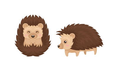 Cute Hedgehog in Various Poses as Prickly Forest Animal Vector Set