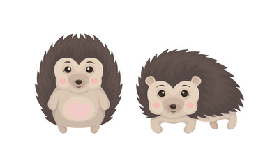 Prickly Hedgehog as Forest Animal in Different Poses Vector Set