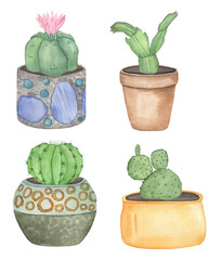 Watercolor cactus in boho pots, hand drawing illustration