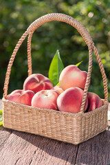 Fresh Peach fruits in blur background, Peach on wooden table in garden.