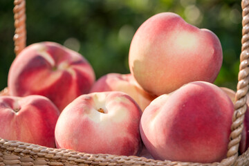 Fresh Peach fruits in blur background, Peach in Bamboo basket on wooden table in garden.