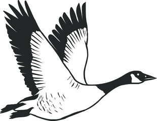 Flying wild goose Vector illustration