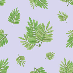 Naklejka na ściany i meble Simple seamless pattern with green mimosa leaves on a light lilac background. For wallpaper, paper, packaging, textiles, fabrics, curtains, bedding, clothing, accessories, baby products