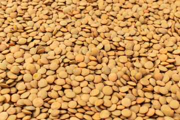 Raw Dry Lentils, Lentil Grains, Dal, Daal, Dhal, Masoor