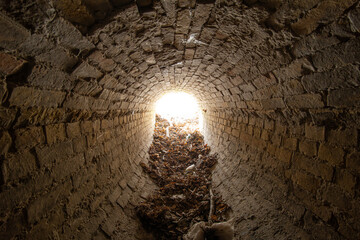 Exit of old abandoned oval brick drainage tunnel of the 19th century littered with garbage in the...