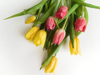 Beautiful bouquet of spring flowers. Tulips on a white background