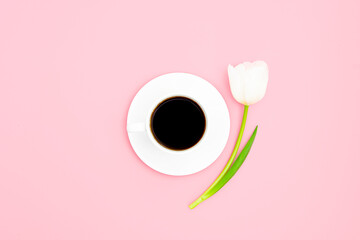 Coffee and tulip on a pink background.