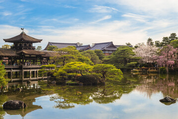 Japanese garden in Heian Shrine, kyoto, japan with cherry blossom