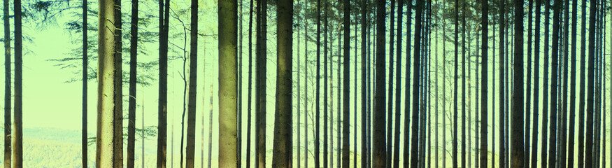 Fototapeta na wymiar blurred forest in Taunus mountains, Germany, stream of sunlight illuminates trees, concept of nature protection, ecological balance, tourism, travel, wallpaper background