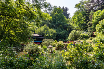 Cluj-Napoca Botanical Garden