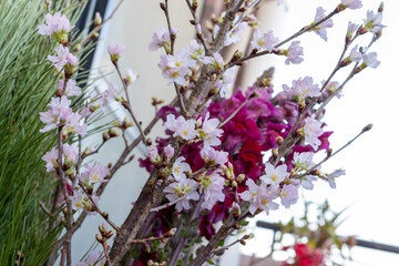 花