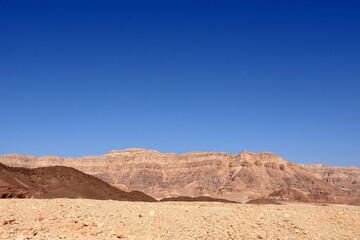 Desert landscape of Negev desert in Timna Park, Israel. The brownish colors and shades of rocks contrast with clear blue sky. There is a lot of copy space.