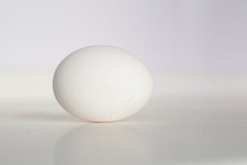 Egg on a white background with reflection