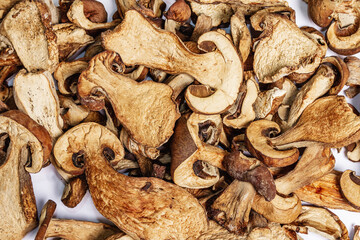 Dried mushrooms Boletus edulis isolated on white background
