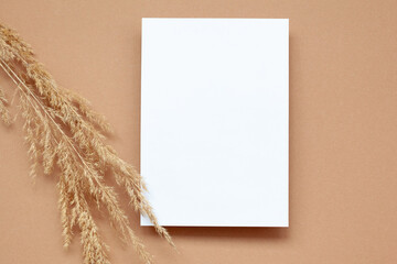 Mockup with empty blank paper and dried pampas grass over pastel beige background. Minimal, stylish concept.